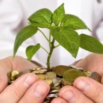 Гибкая ценовая политика фото